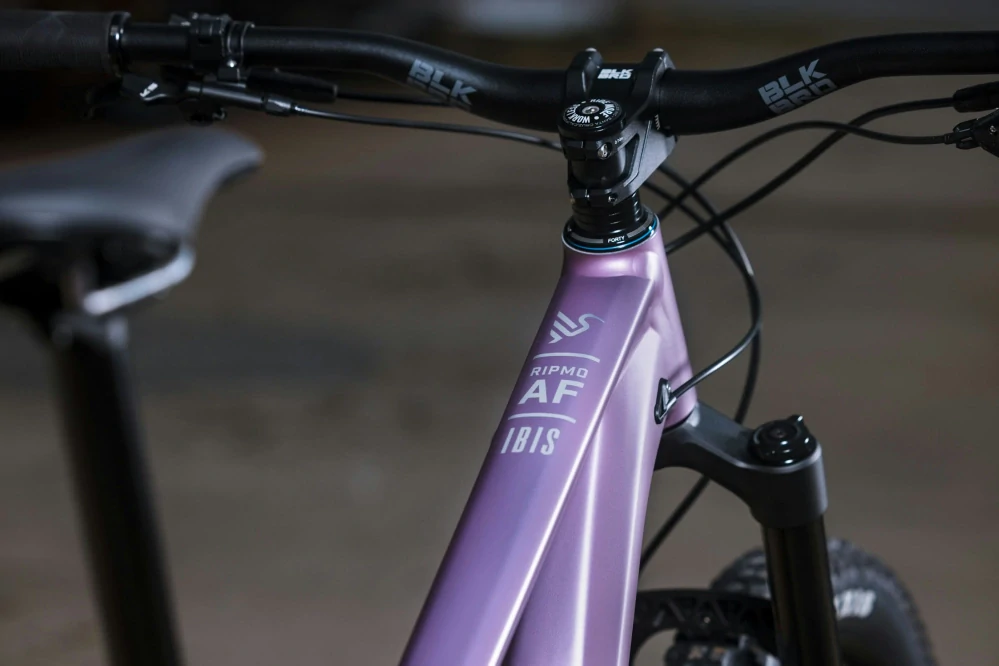 Horské kolo Ibis Ripmo AF Eagle 90 Transmission - Rose Dust